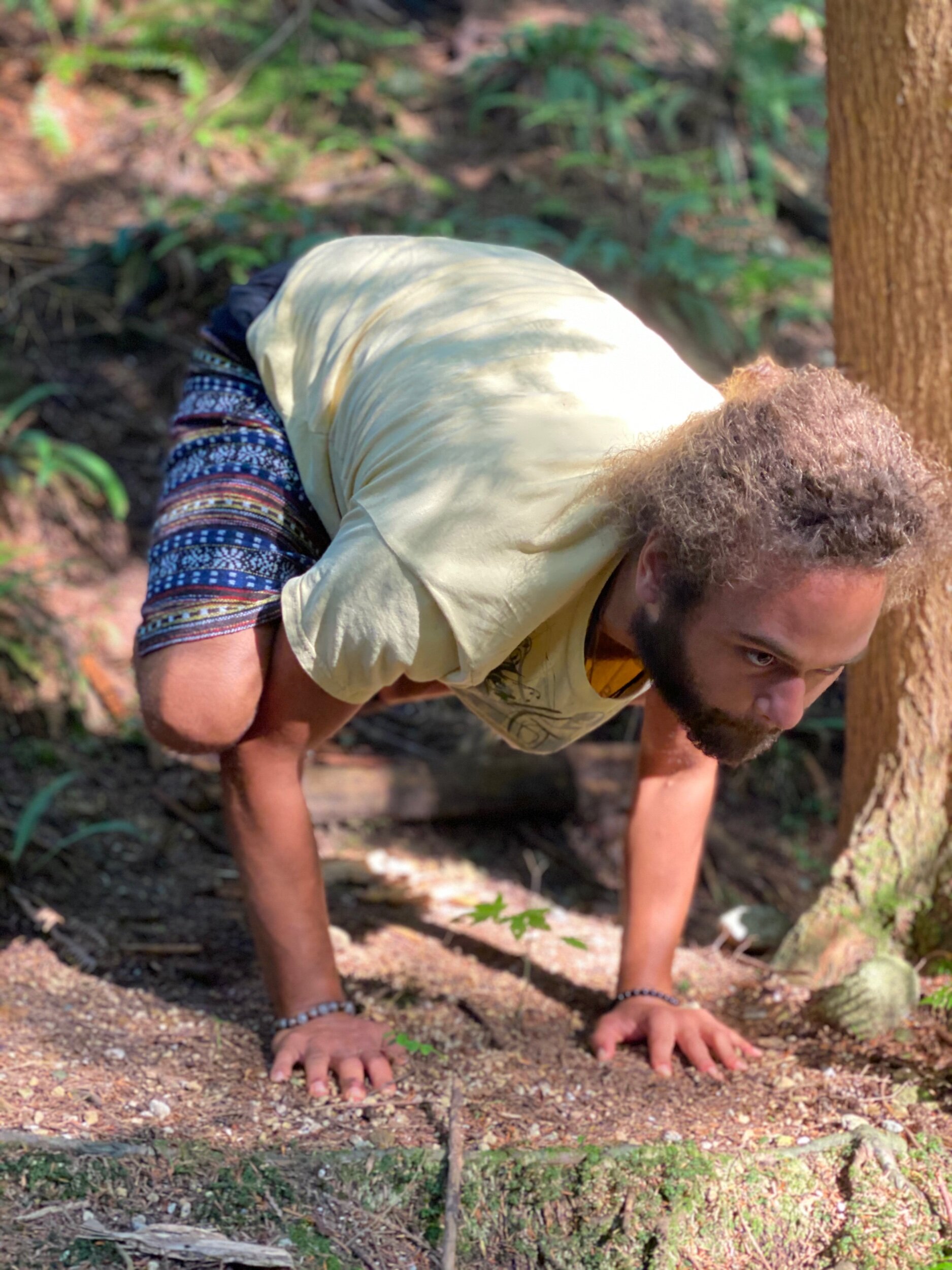 The Path of Ascension Vol. 3.2 - The Path of Fortification of the Body