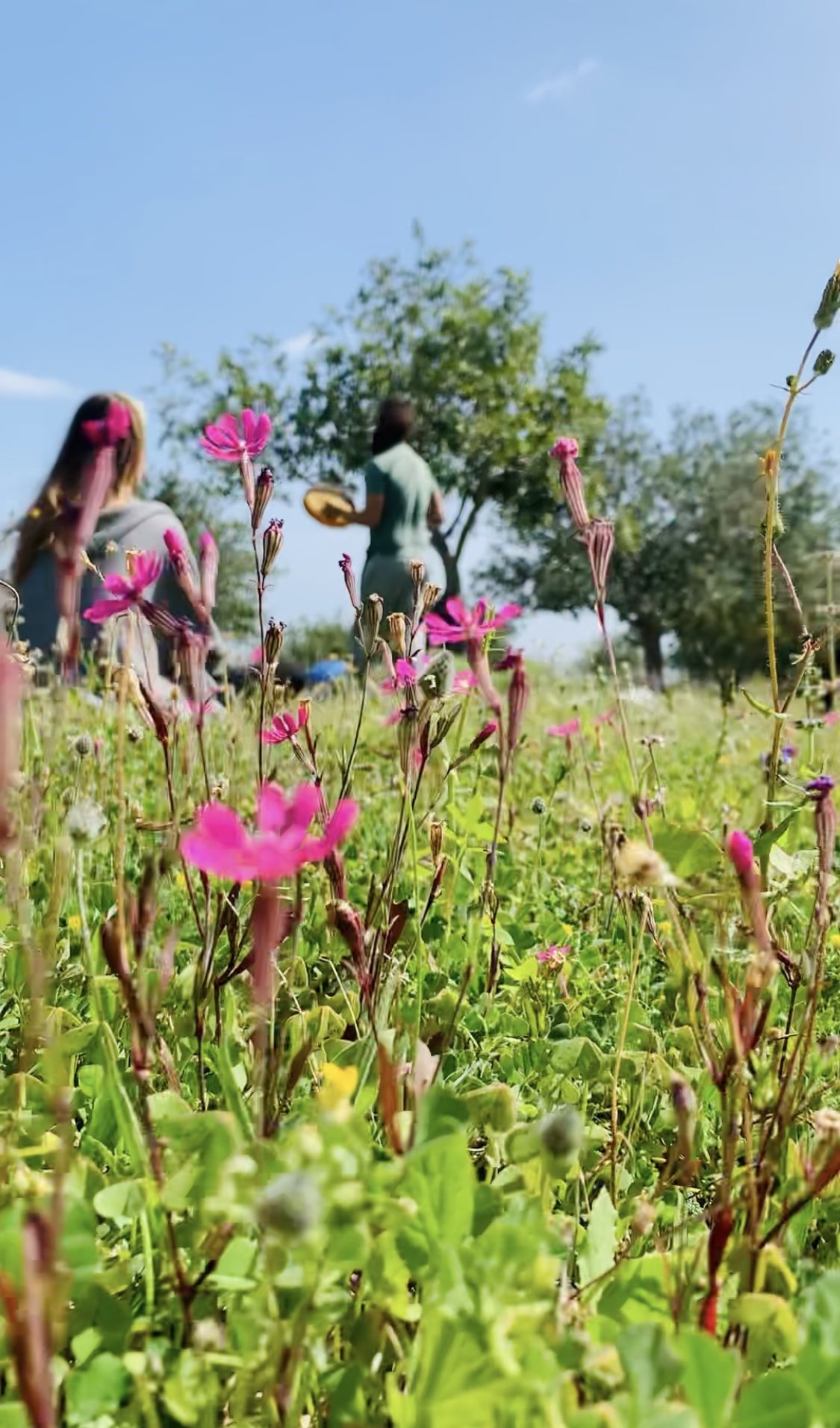 A little taste of Inner Indulgence Italia!