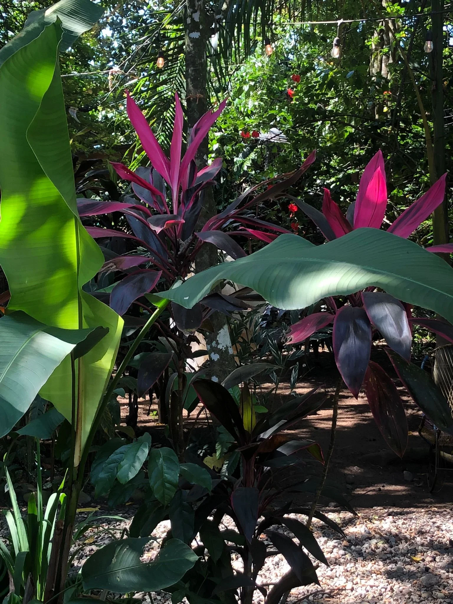 WhatsApp Image 2024-04-04 at 4.27.14 AM.jpeg