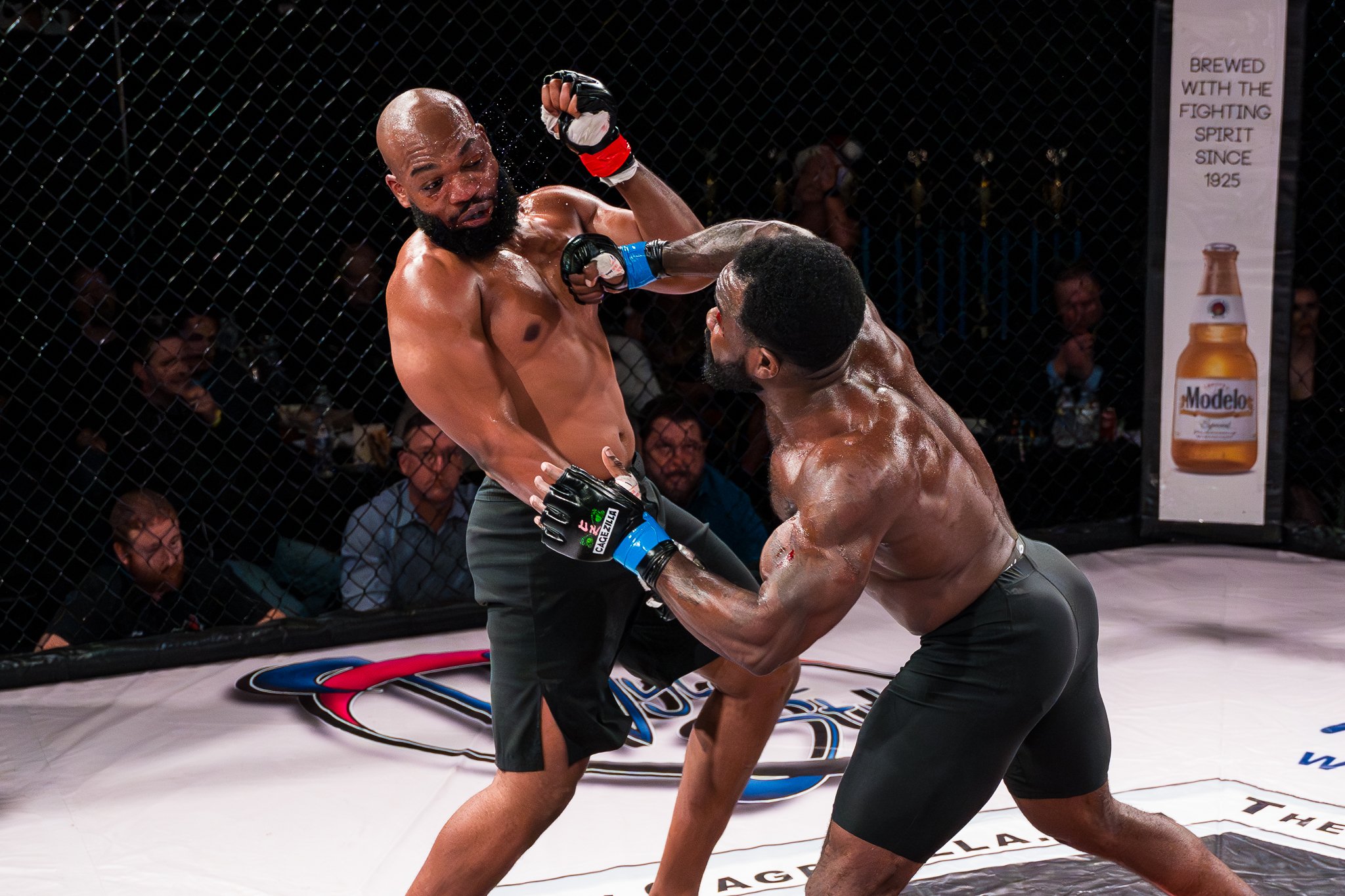 Cagezilla76-139.jpg