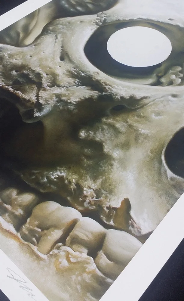 skull_3.jpg