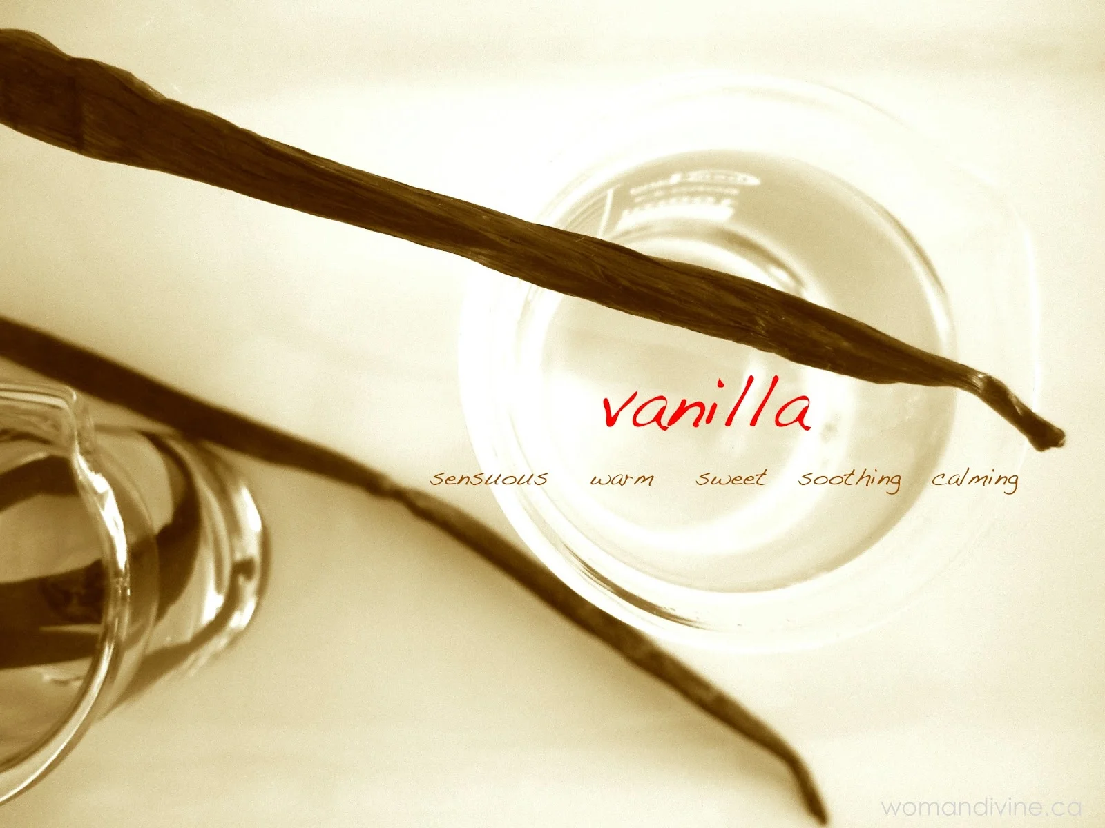 Vanilla body oil by Woman Divine