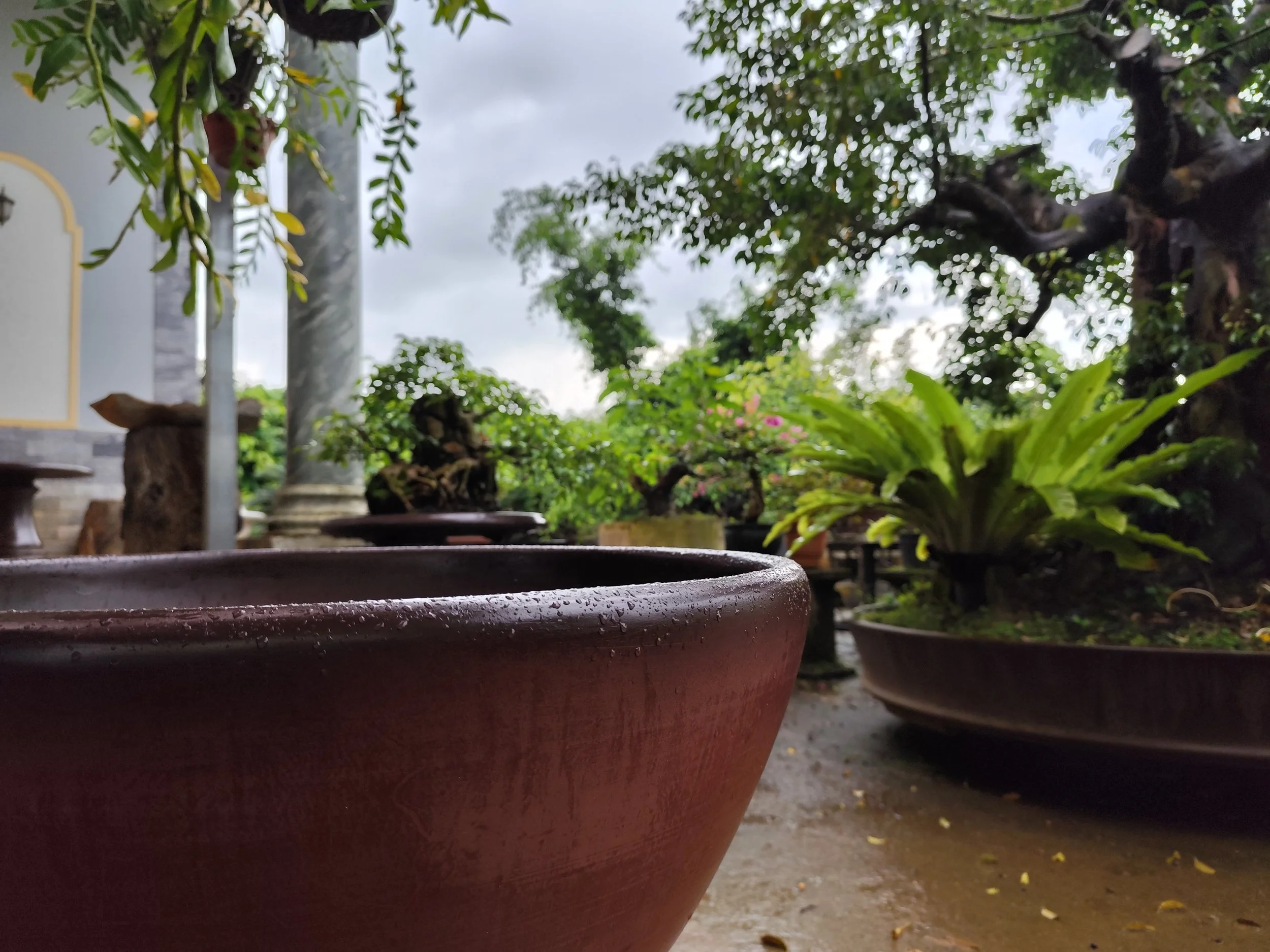 A closer look at its rim with a two-tone color effect created by darker paint, actually to cover exposed aggregates, then sealed for water repellency.