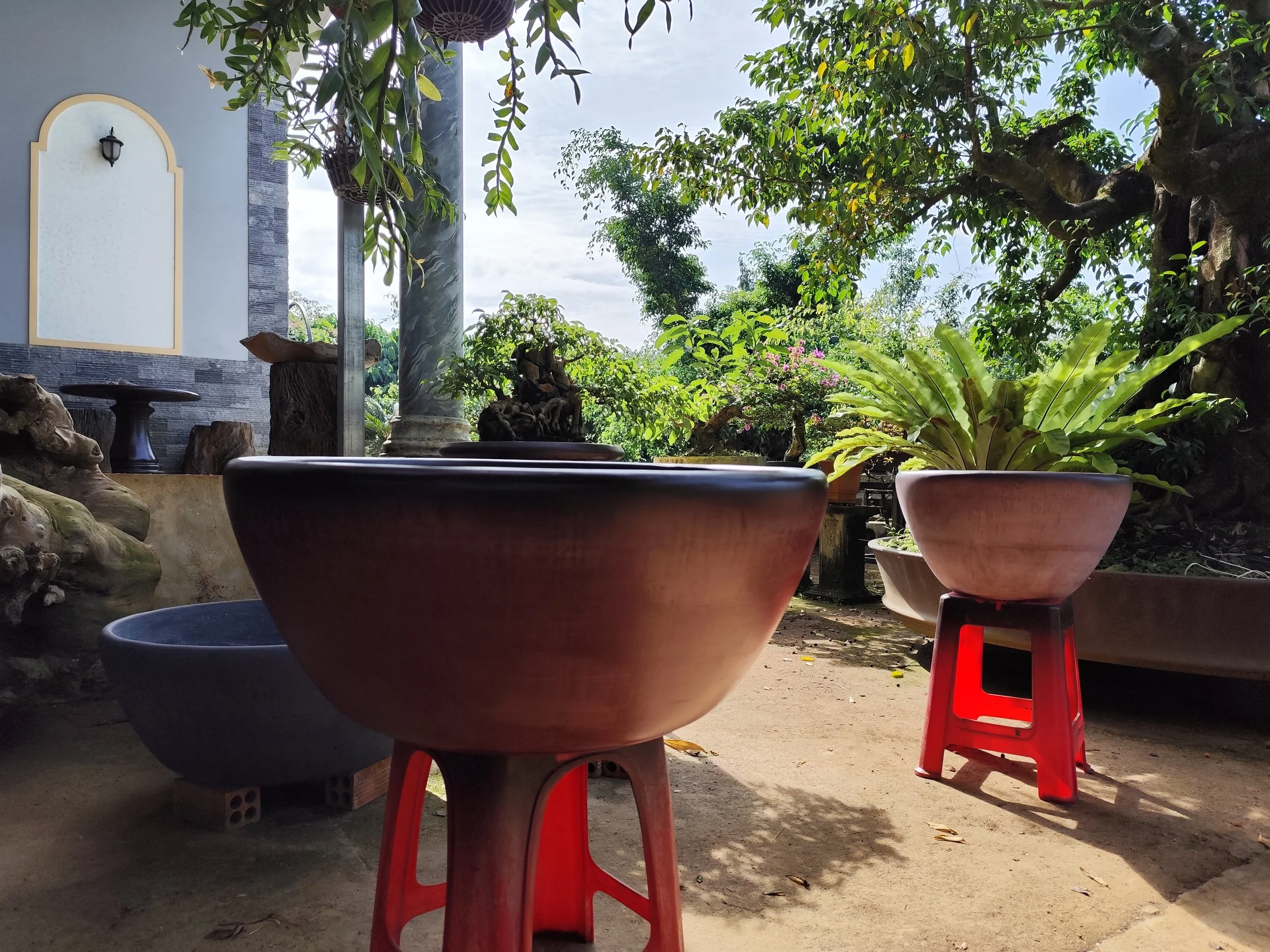 Planter #15 in different sizes and pigmented colors.