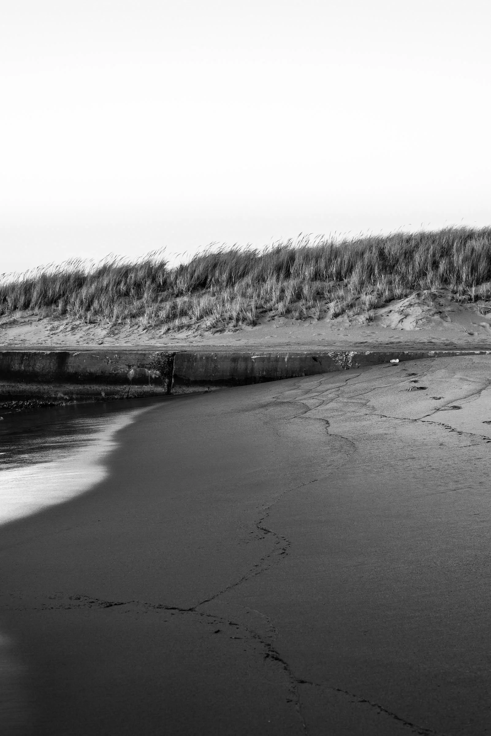 _IMG3522-2-3.jpg