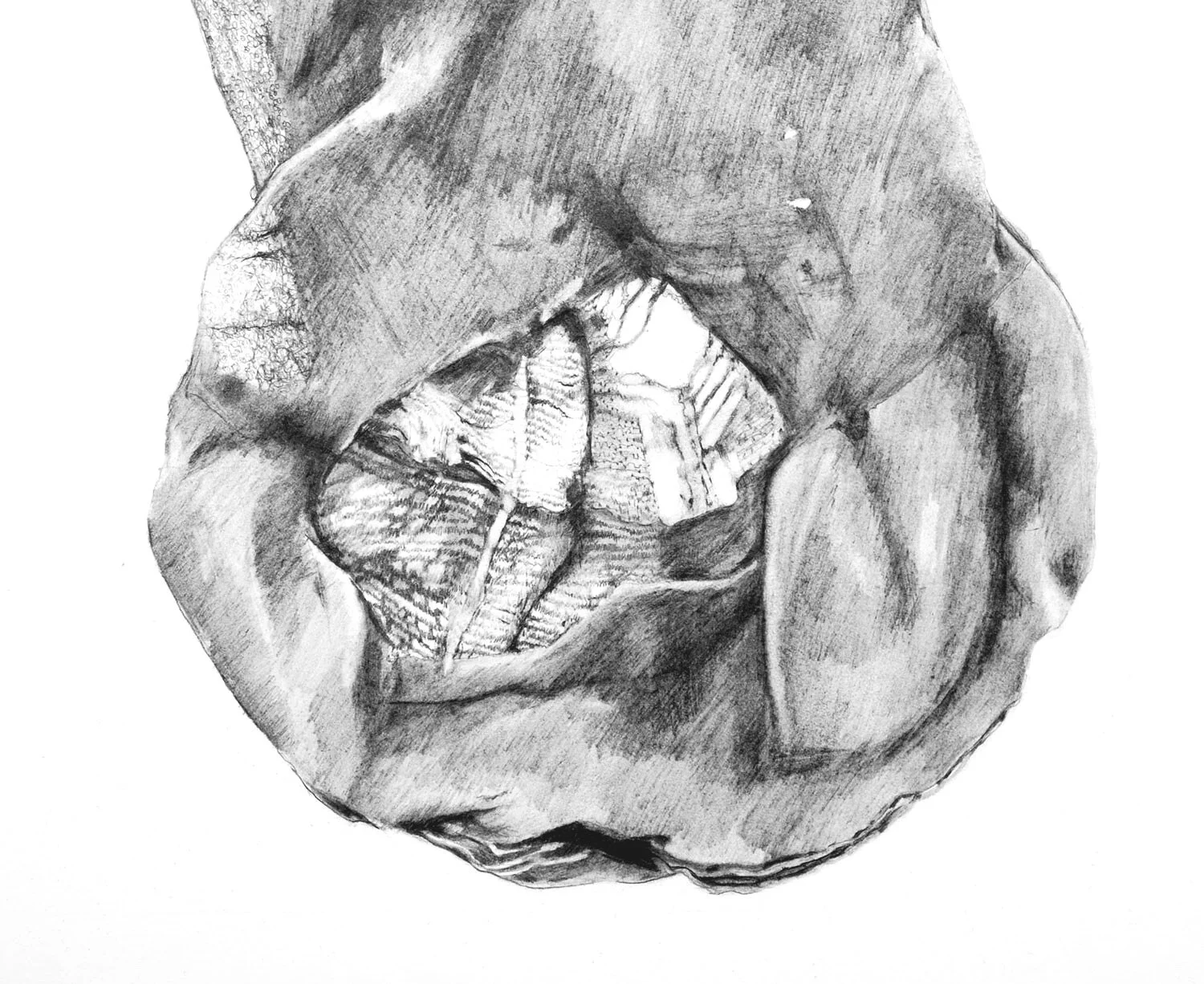Sock (detail)