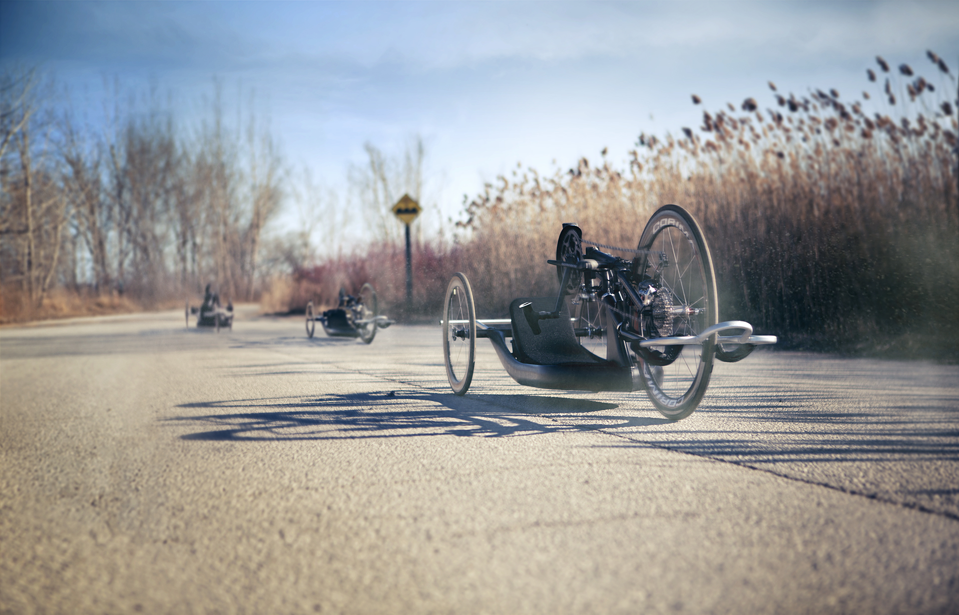 Paracycle Print