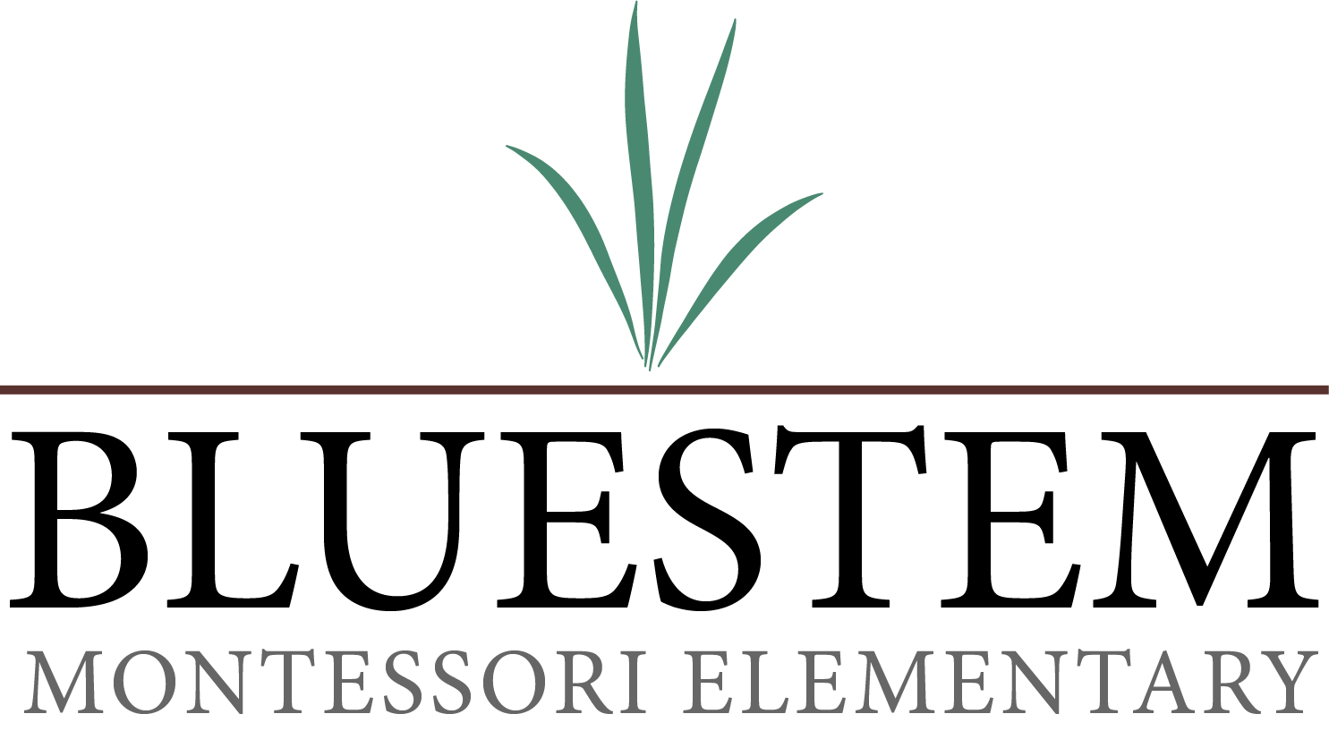 Bluestem Montessori Elementary