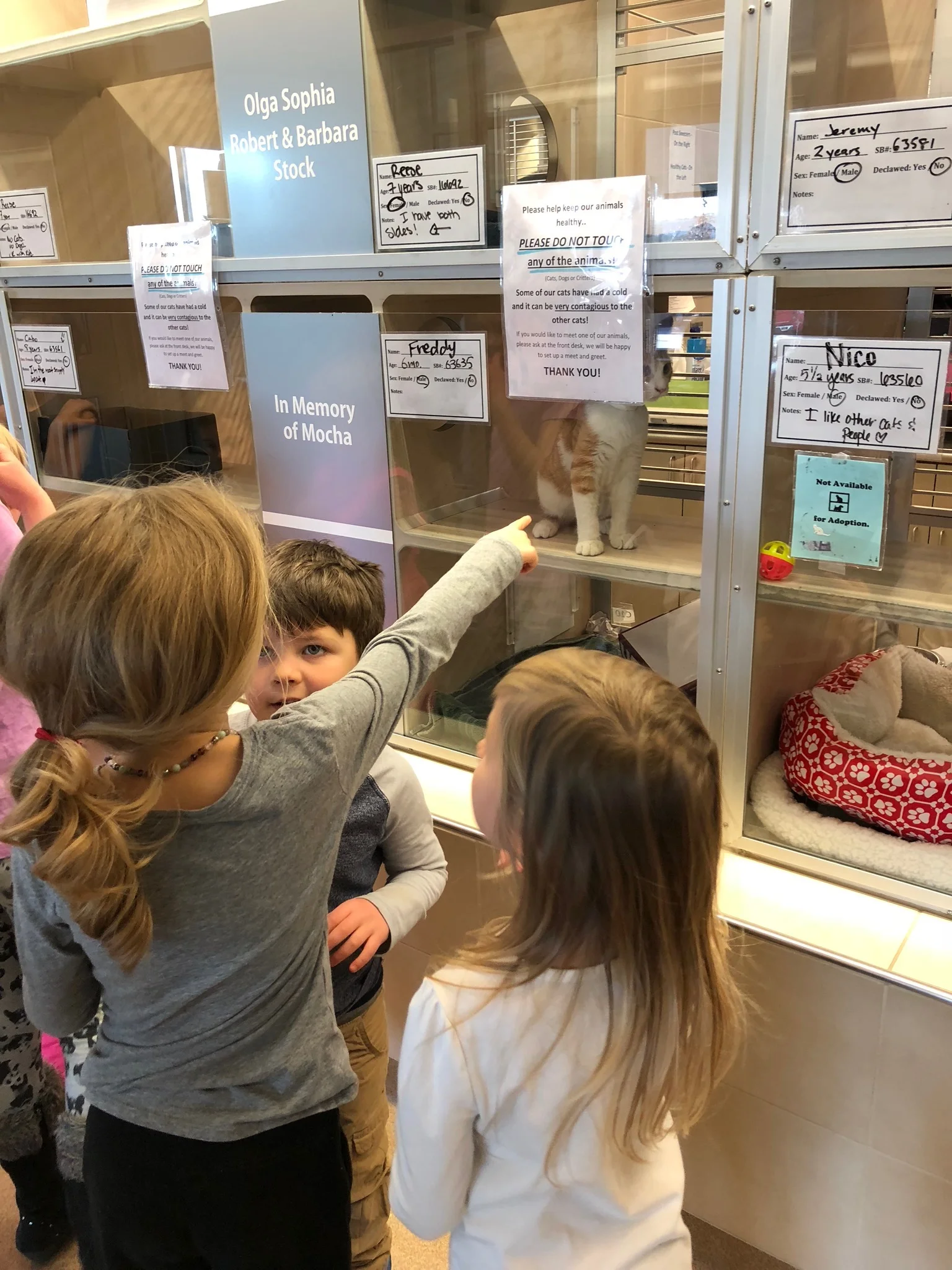 We went to the Humane Society to learn about how to help in our community.