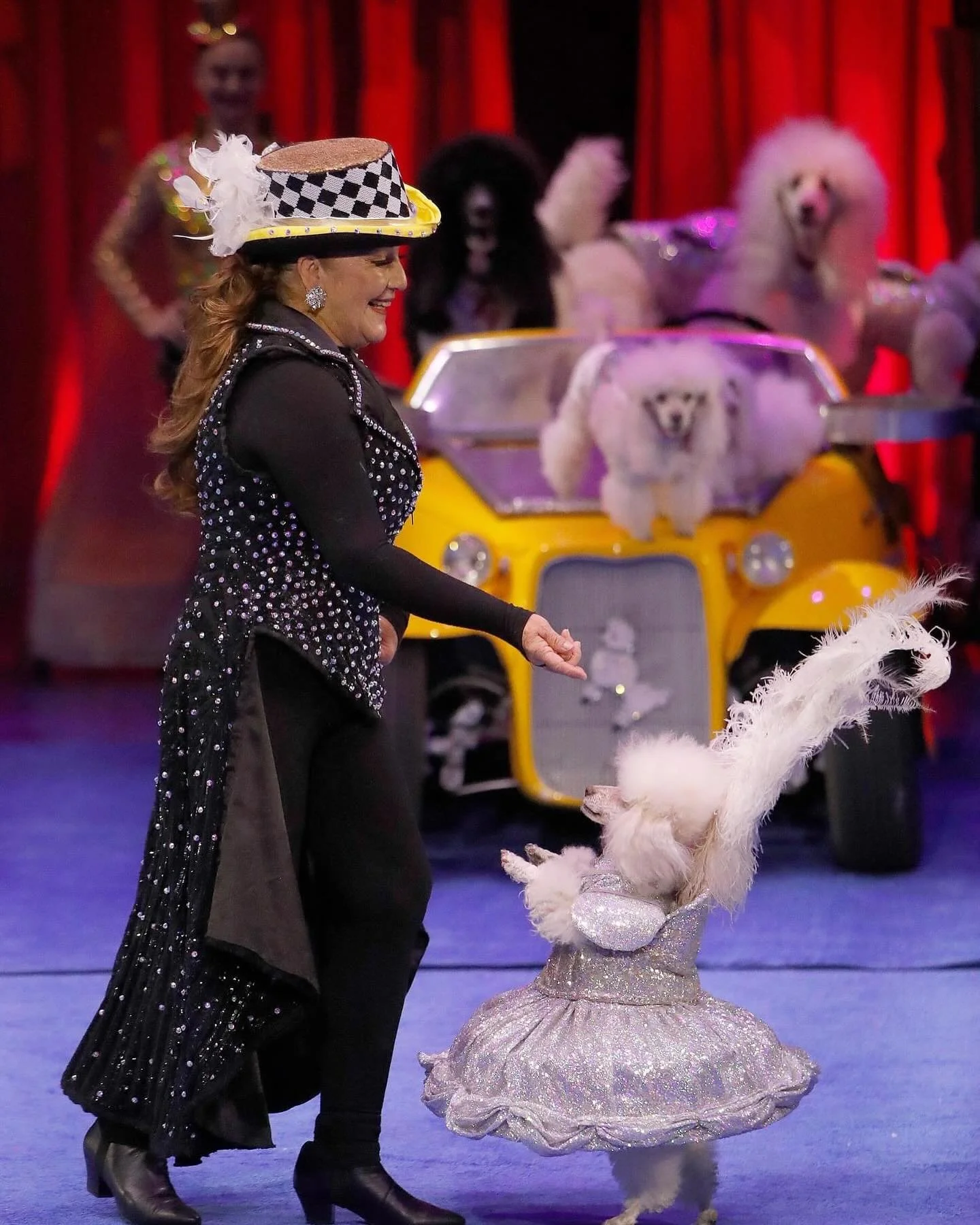 That&rsquo;s a wrap! 🎪✨We are incredibly honored and deeply grateful to have performed with our Cartoon Poodles at the legendary @bigapplecircus. Performing in the heart of Manhattan was truly a dream come true, and our hearts are full of joy and gr