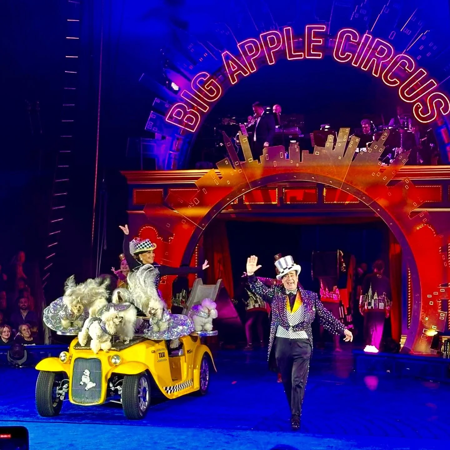 What an incredible opening weekend✨ with the @bigapplecircus! We&rsquo;re so grateful for the opportunity, and our adorable, energetic poodles 🐩 are thrilled to perform for the amazing New York City crowd! 

#bigapplecircus #poodles #newyork #hometo