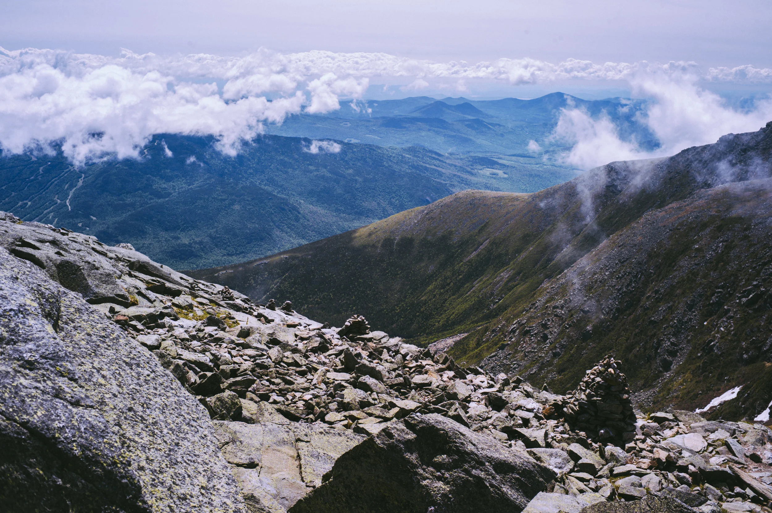L1019157.jpg