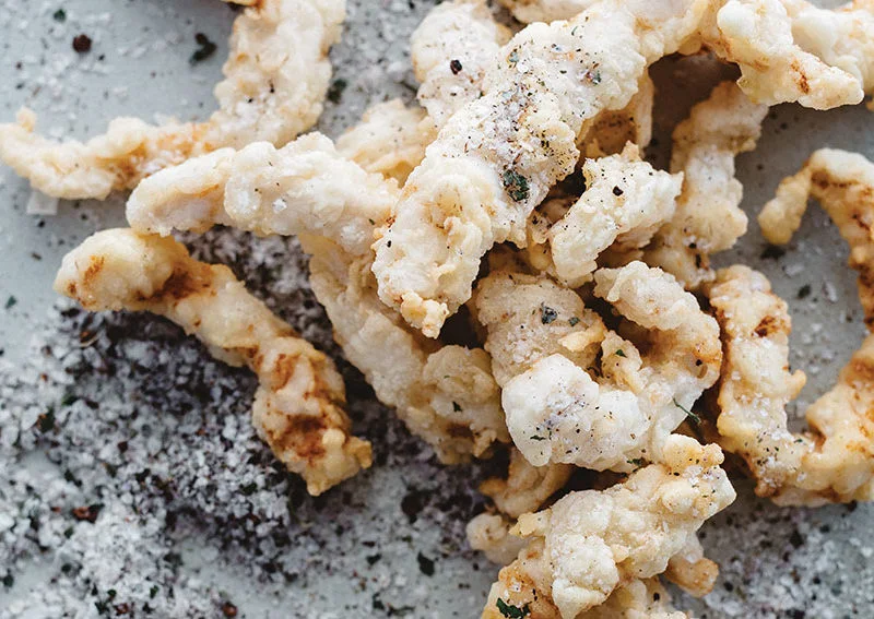 Warndu-Salt-and-Pepper-Crocodile-800x567.jpg