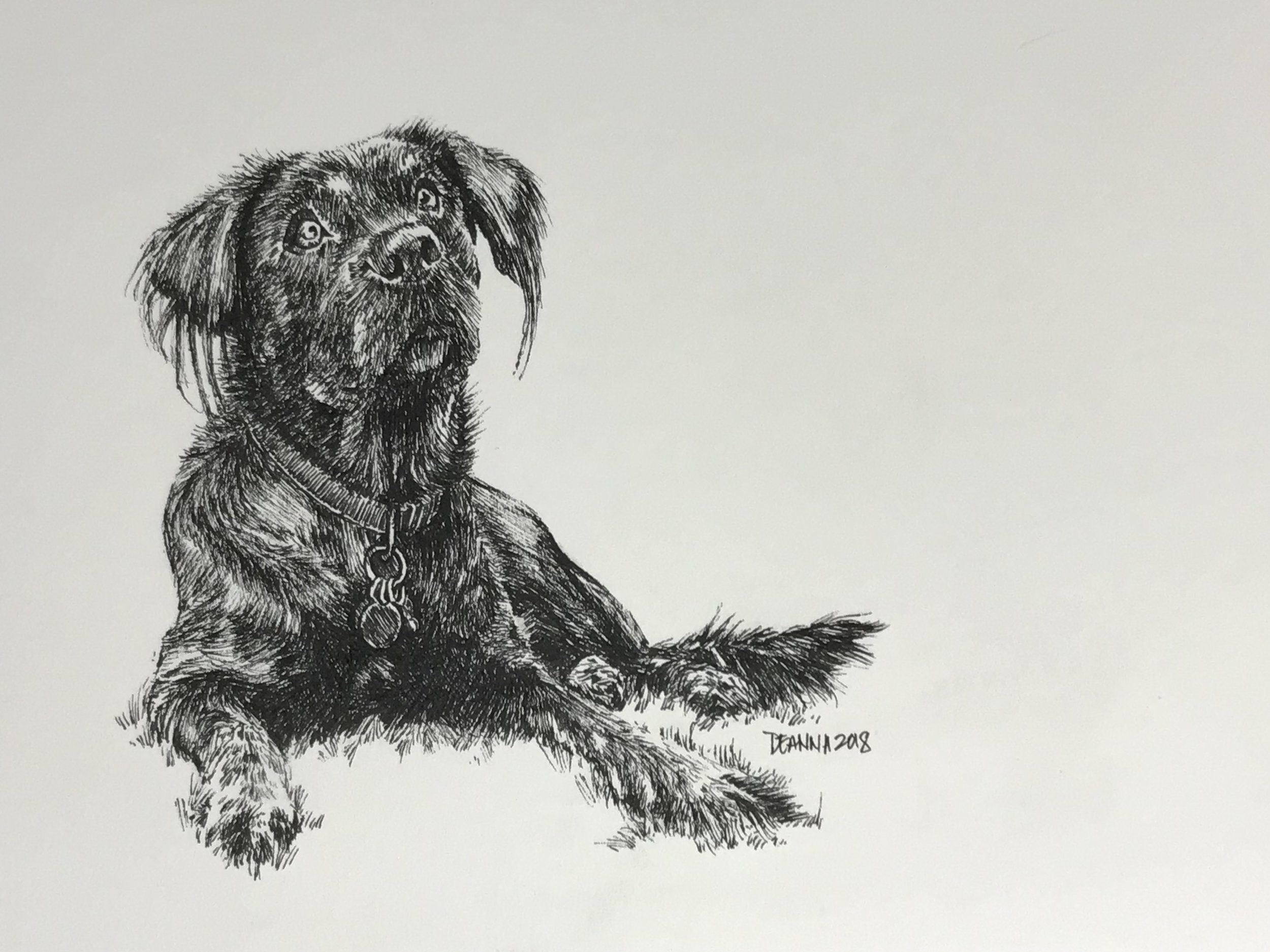 Zeus