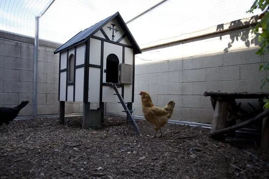 Small Animal Farming