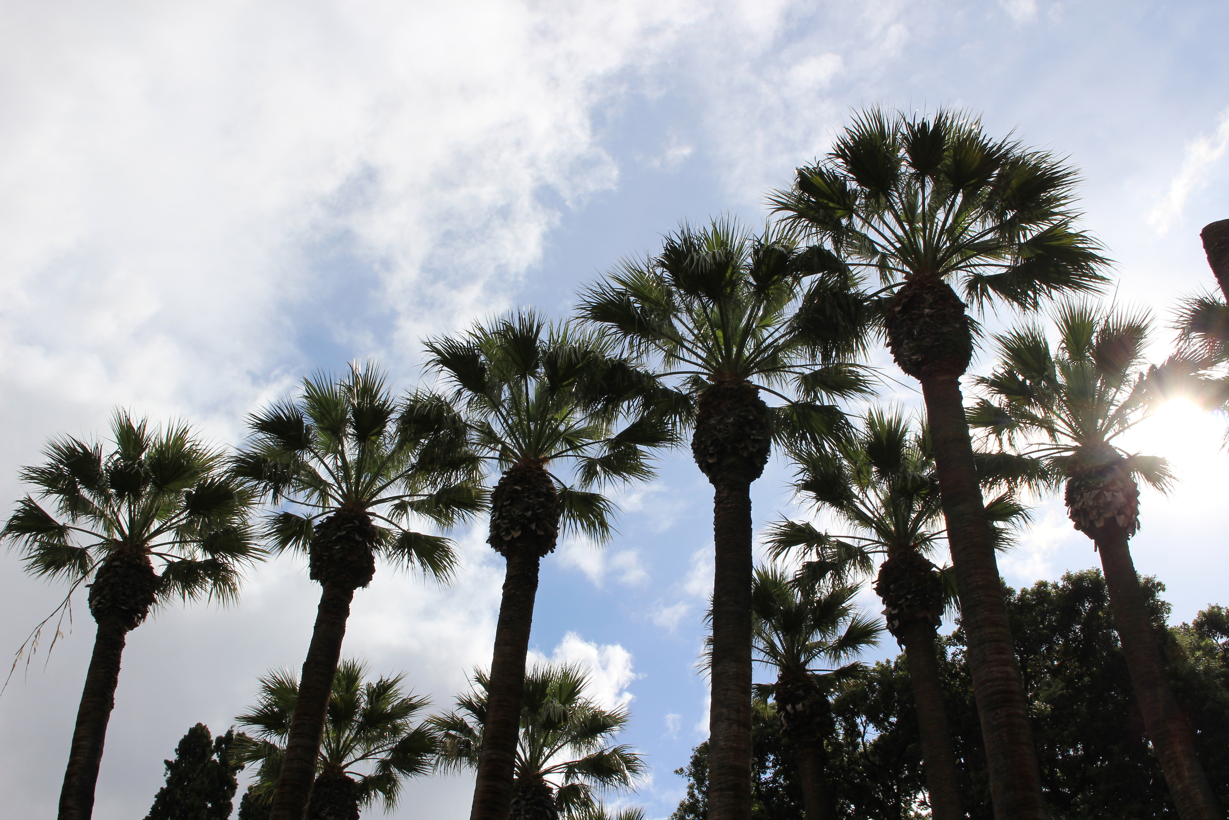 National Gardens, Athens