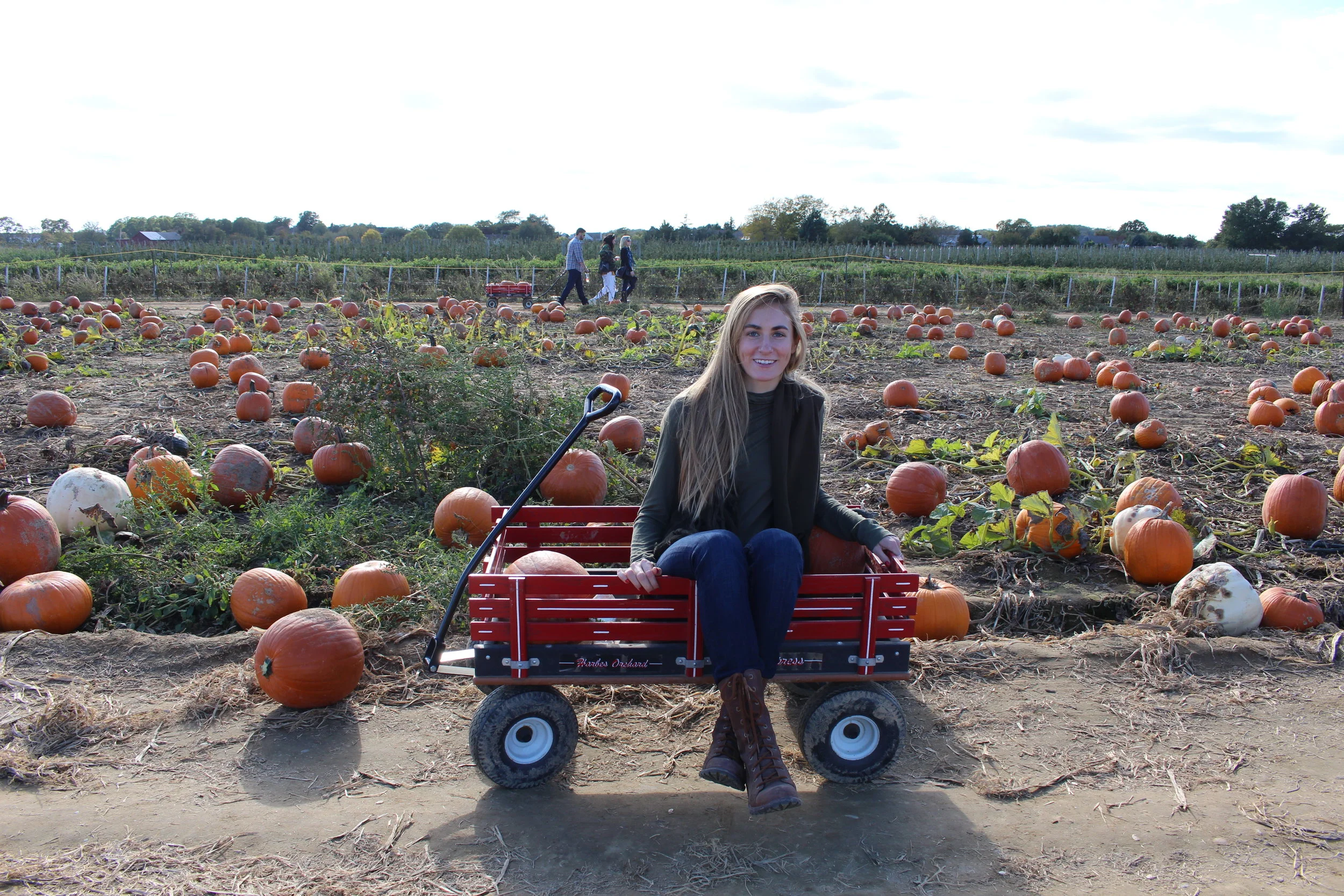 Octobering on Long Island