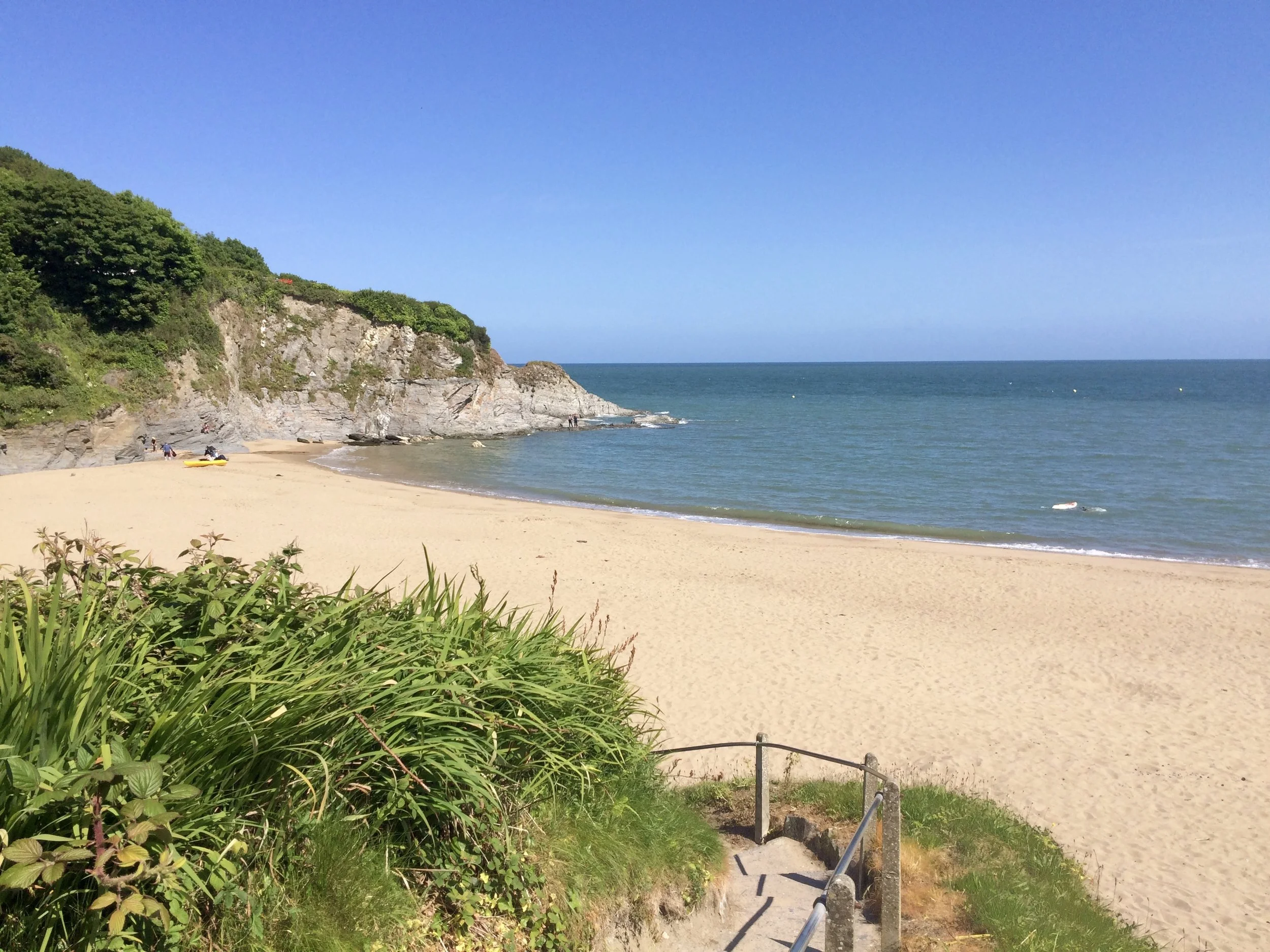 Dog Friendly Restaurants Cardigan Bay Dog Friendly Restaurants Cardigan Bay