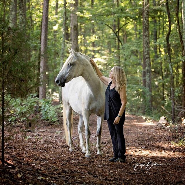 I had the chance to photograph this magnificent equine specimen, Rhett,  when I was in the USA in 2019, down south in Georgia.

This incredible #Lipizzaner #Andalusian cross gelding just oozed presence and personality during his liberty training sess