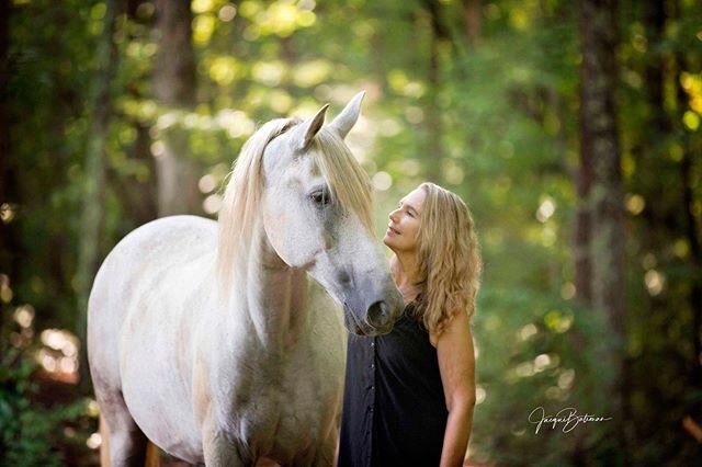 &quot;A horse is a mirror to your soul&quot; *Buck Brannaman*

Rhett #lipizzaner #andalusian #spiritofequus #jacquibatemanphotography #jacquibatemanphoto #equinephotography #equinephotographer #robephotography #limestonecoastphotographer #horsesofins