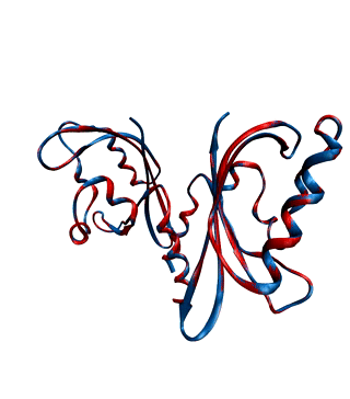 lovmorph.gif
