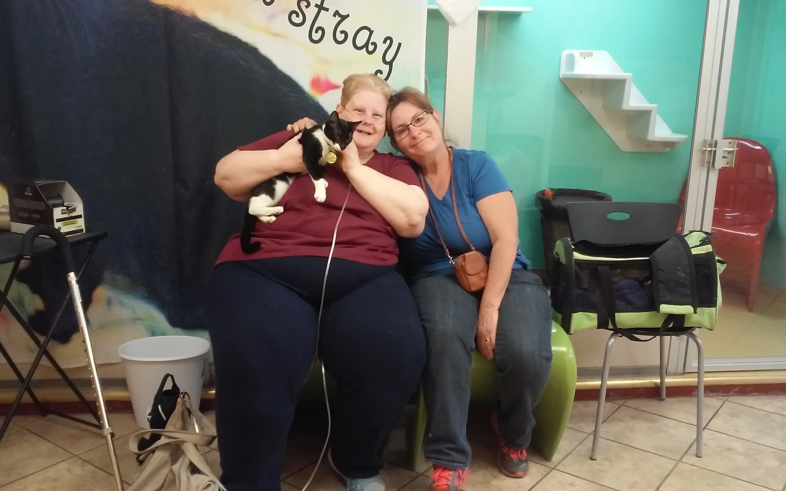 HAPPY ADOPTION FRISKY!
