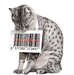$25 provides a microchip to a dog or cat, ensuring they will not end up at a shelter Donate