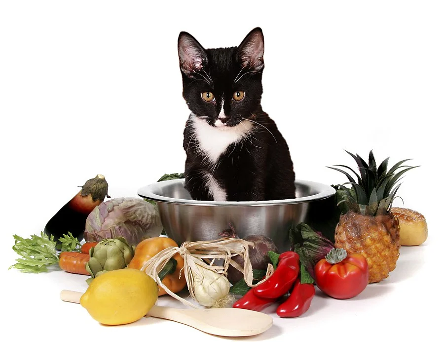 $37 stocks the community food bank for one day Donate