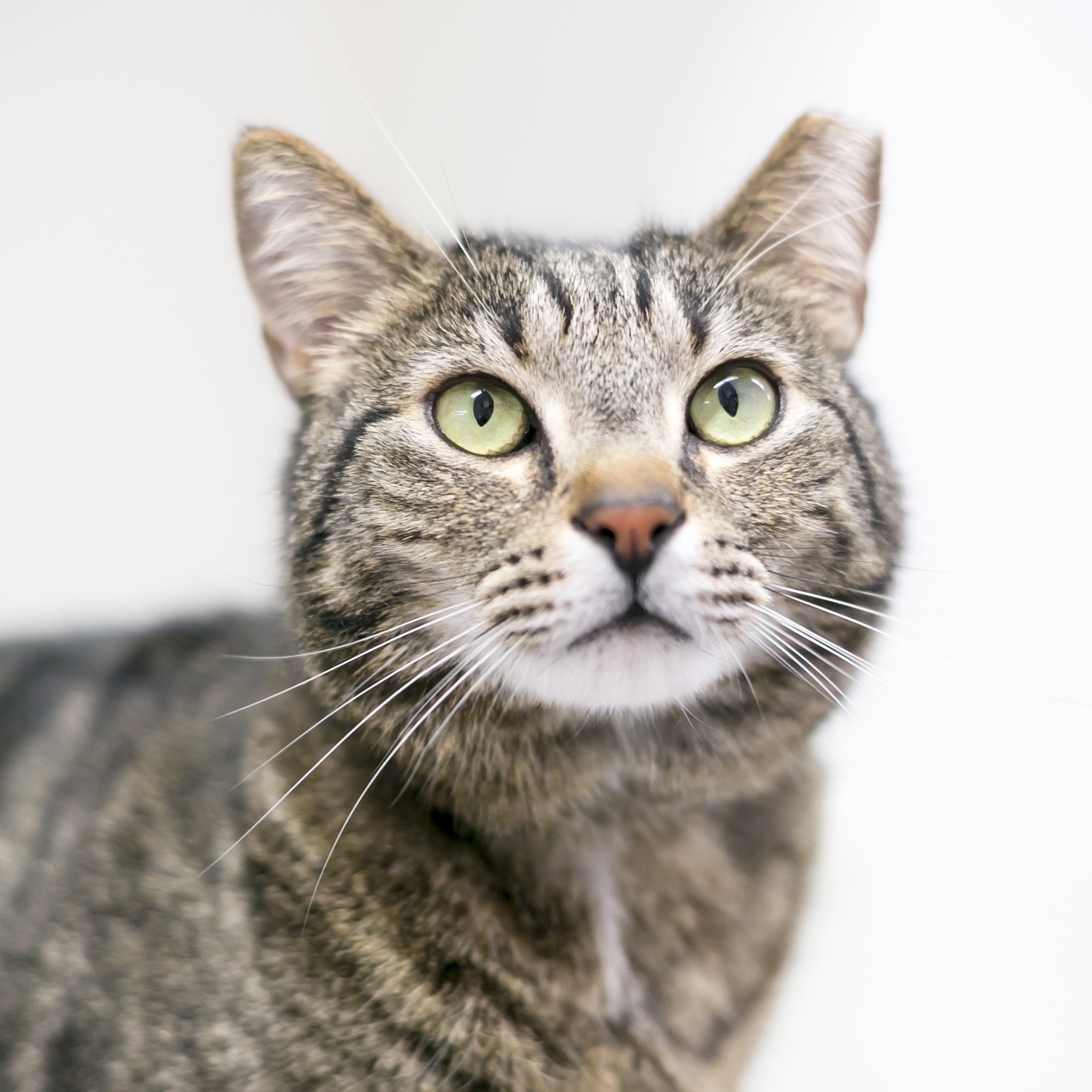 AdobeStock_190562040.jpeg