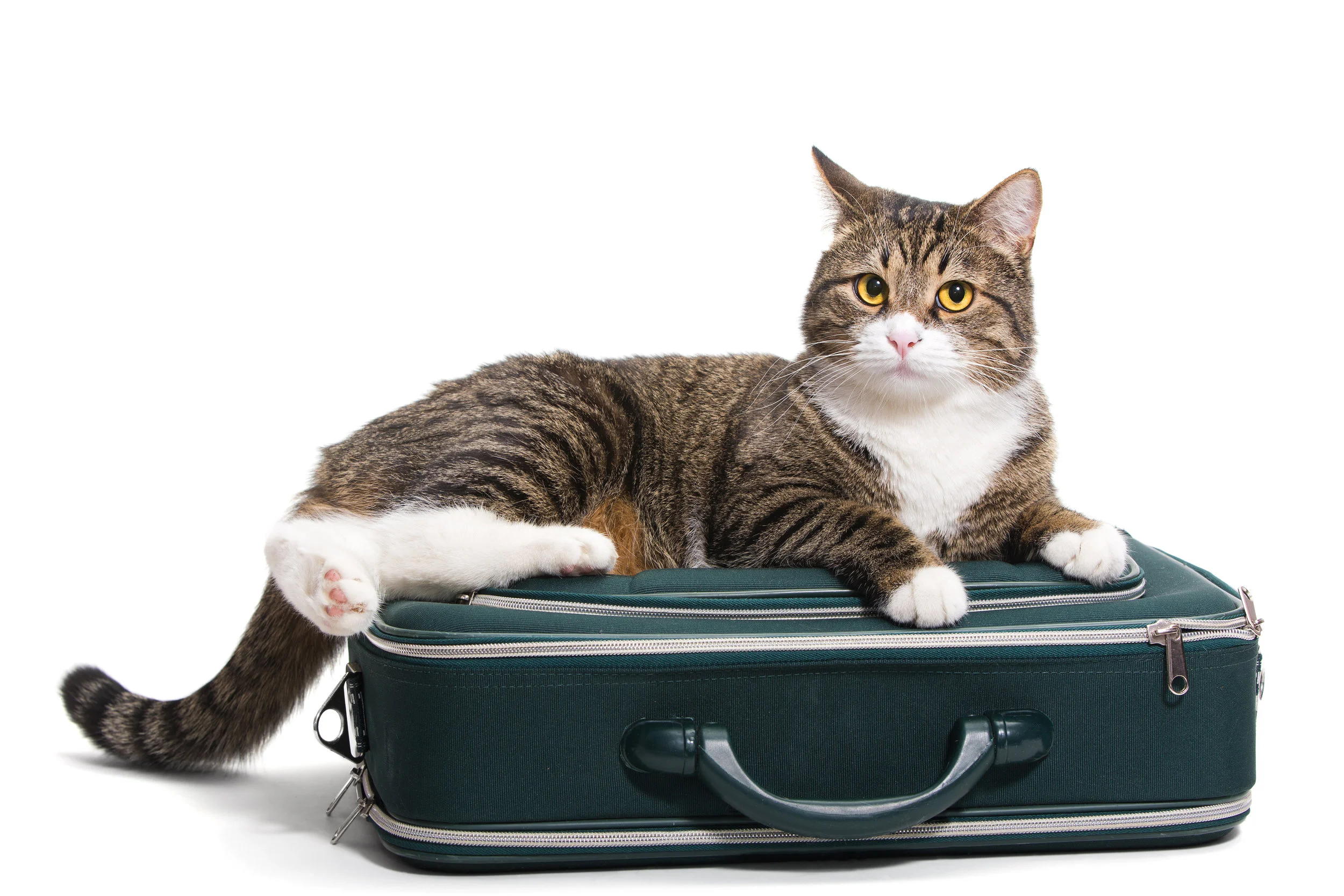 emergency-boarding-AdobeStock_57704111_Preview-square.jpg