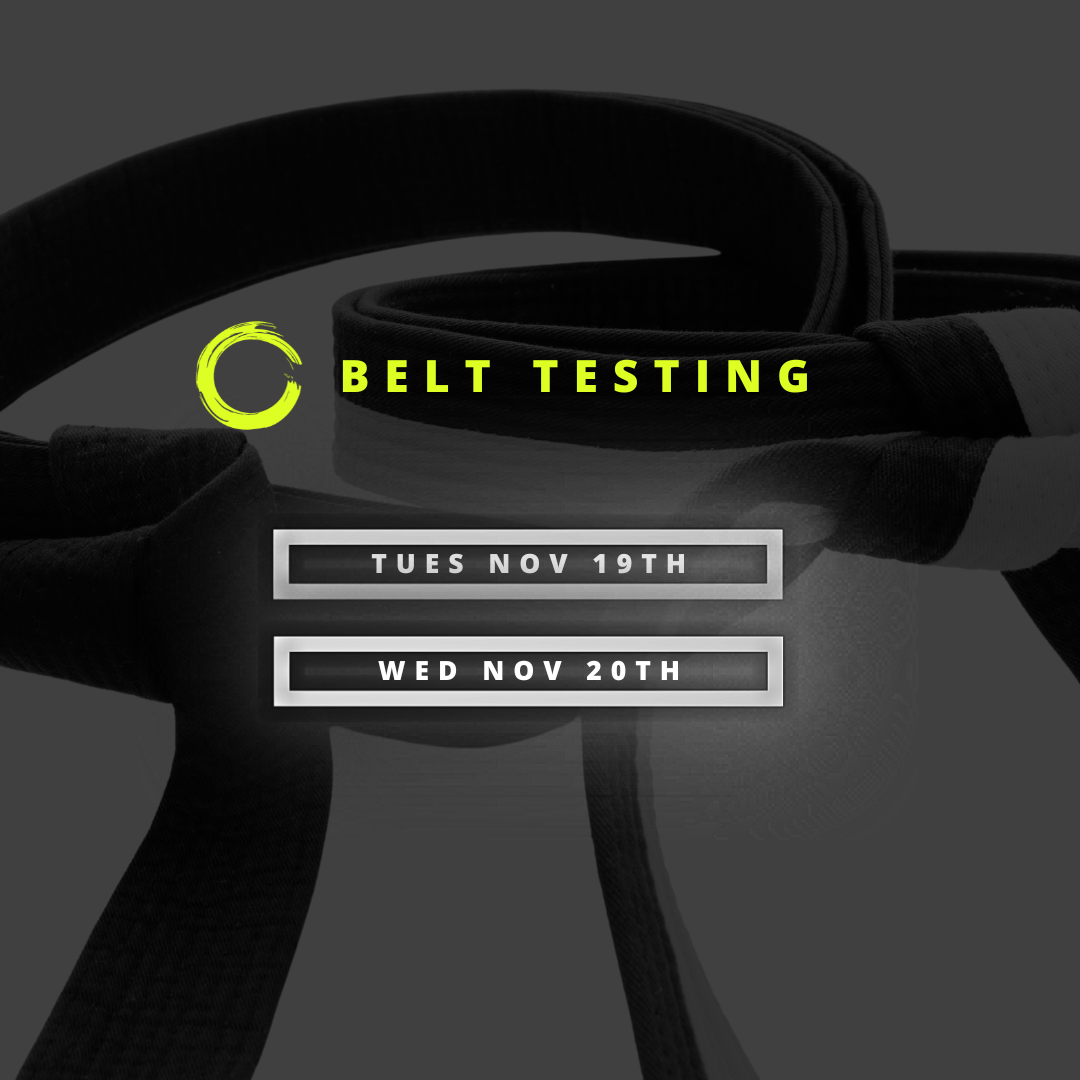 Belt Testing IG.png