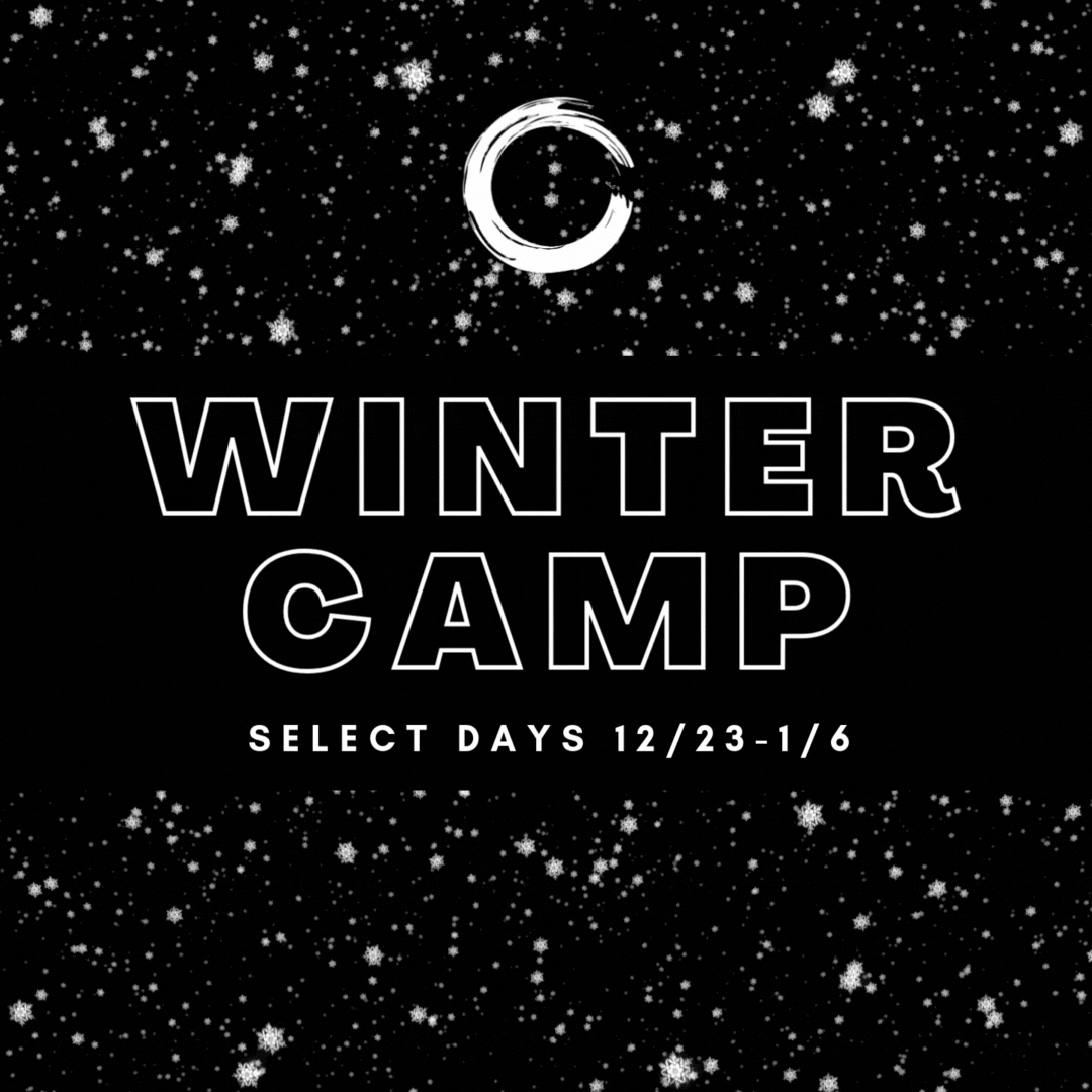Winter Camp 2.gif