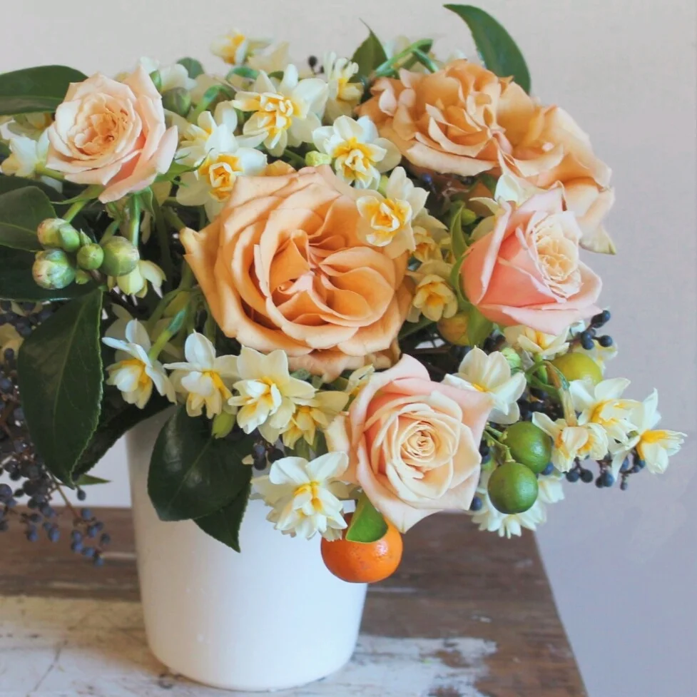 Narcissus, garden roses, kumquats, camelia