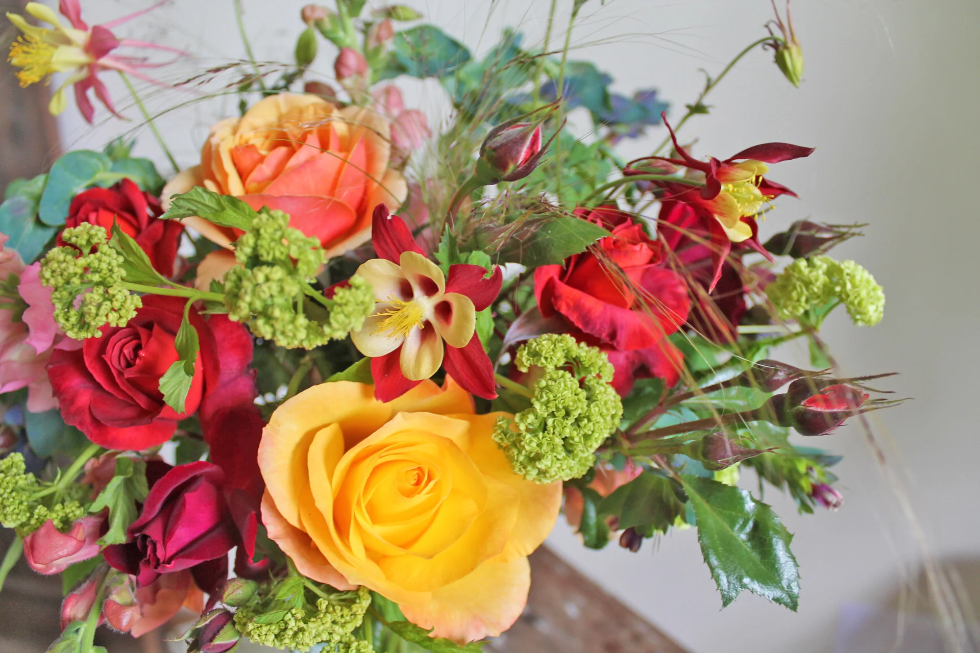 2019-05-14 may farm fresh.jpg