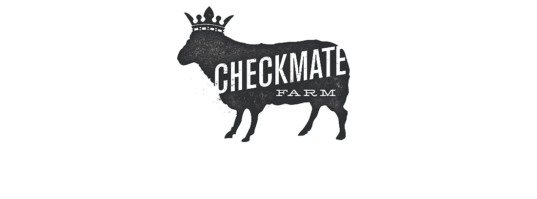 CheckMate_Big_10.png
