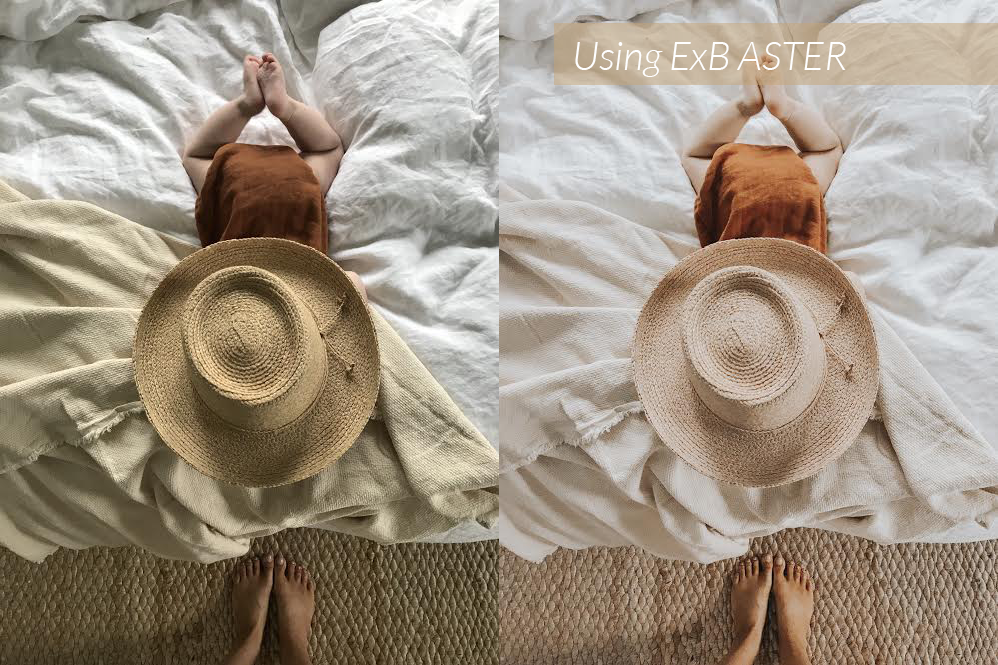 Aster BnA.png