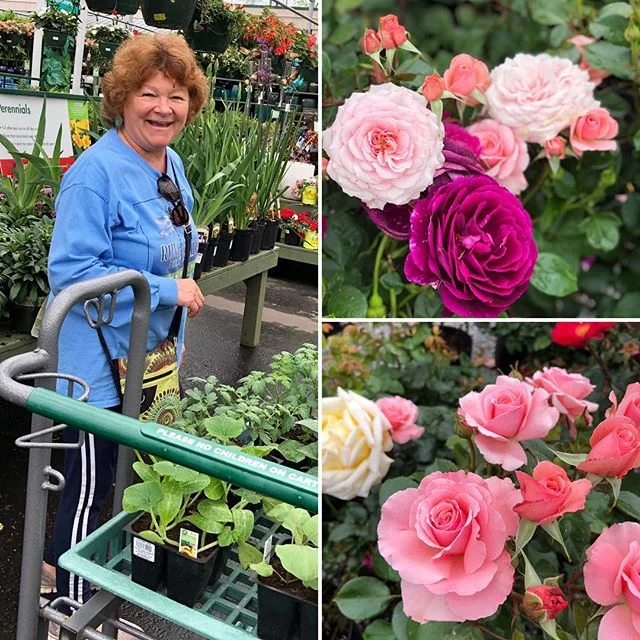 My sib master gardener Darlene Colihan Boerlage has flown all the way from Maryland to help make my garden dreams come true. We all need each other- people used to live in small tribes and be surrounded with family. Build your tribe 🌷🦋. #siblings #