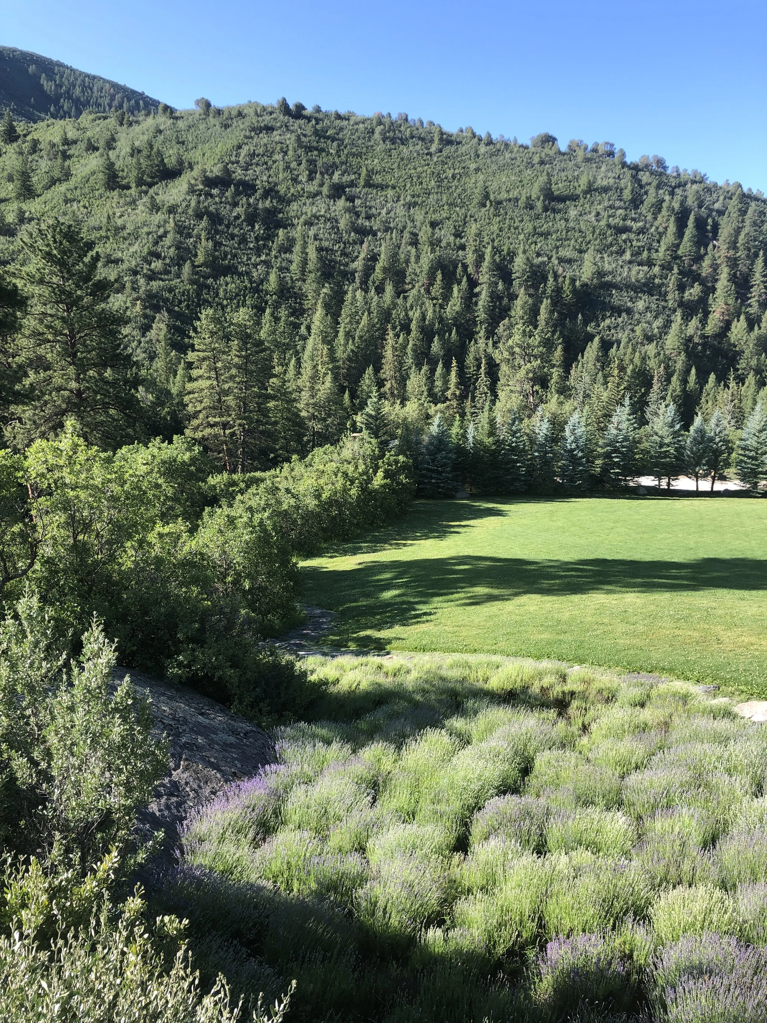 Intuition is your higher self speaking to you