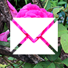 redpink-email.png