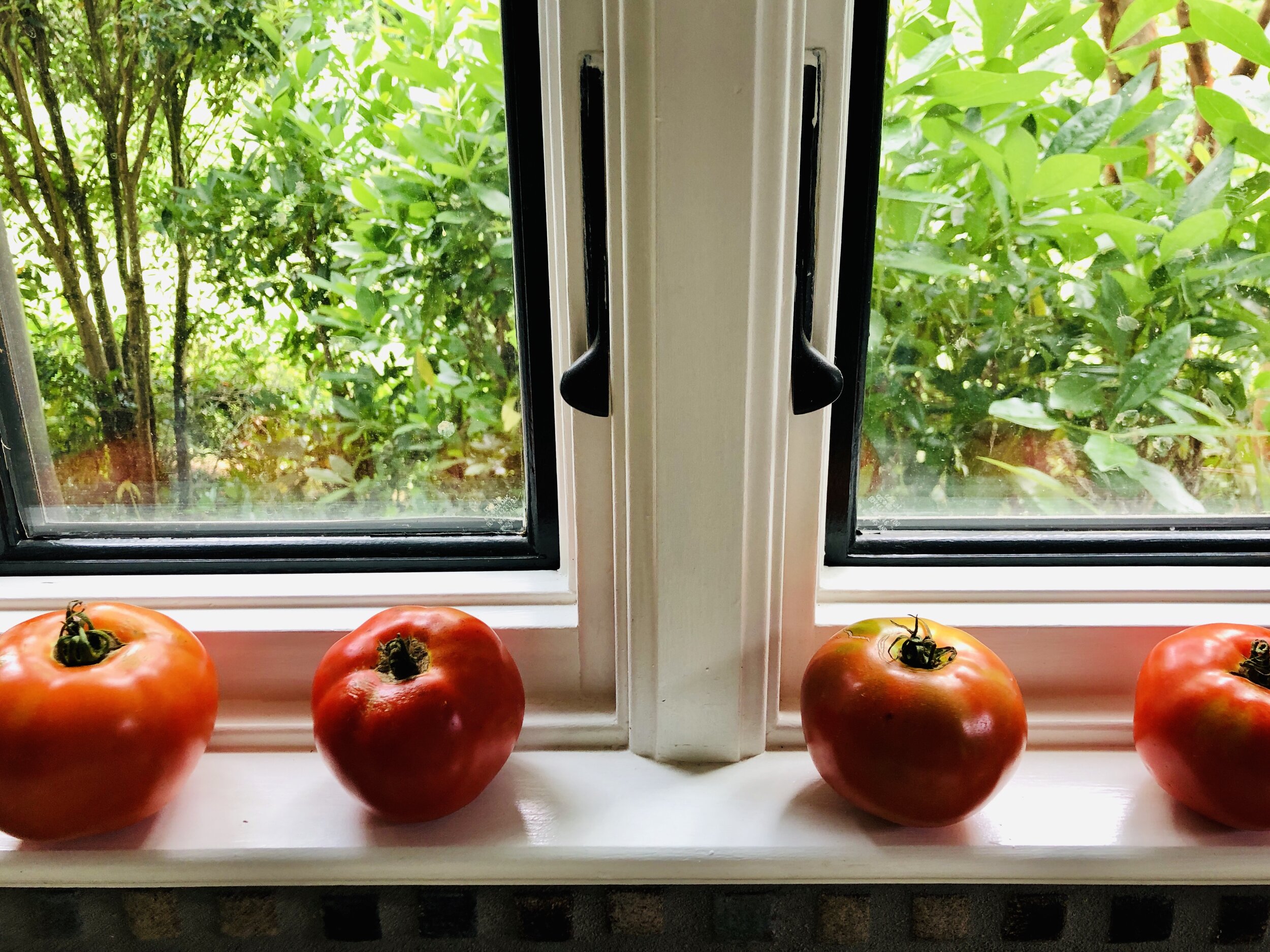 It's Monday, it's hot, one word: gazpacho. Click link for recipe.