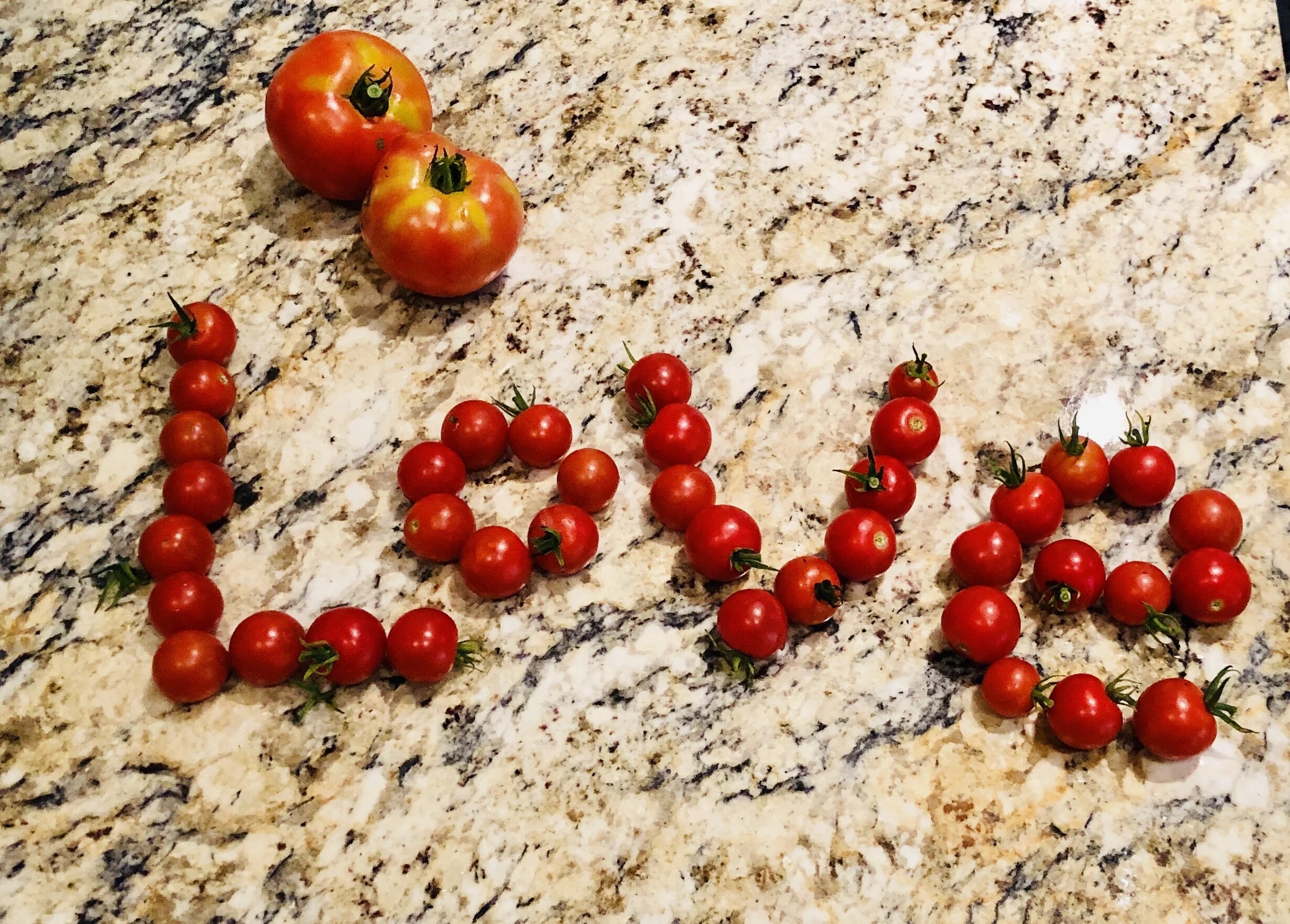 The emergence of Avolve wellness