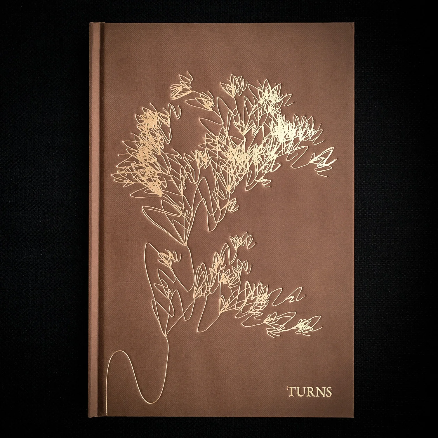 Turns_Book.jpg