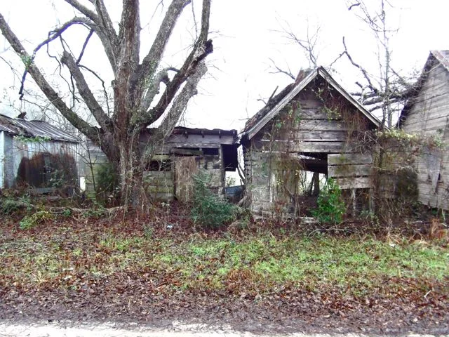 Gunn farm homestead