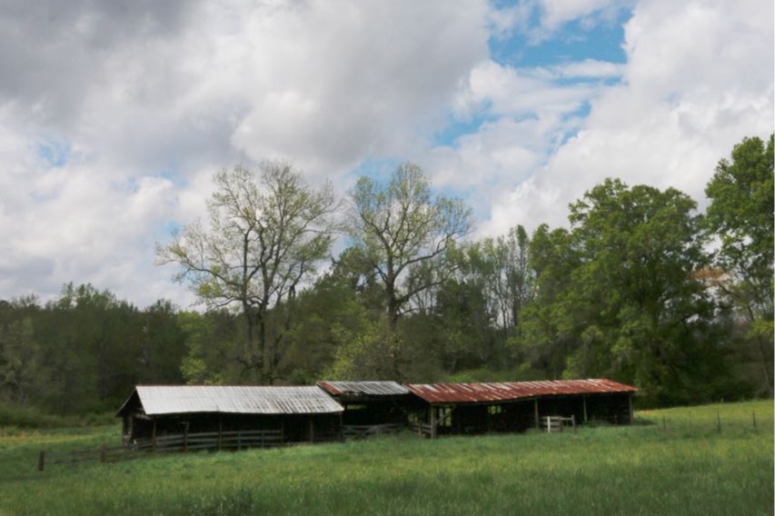 BROCS Broder Calving Shed