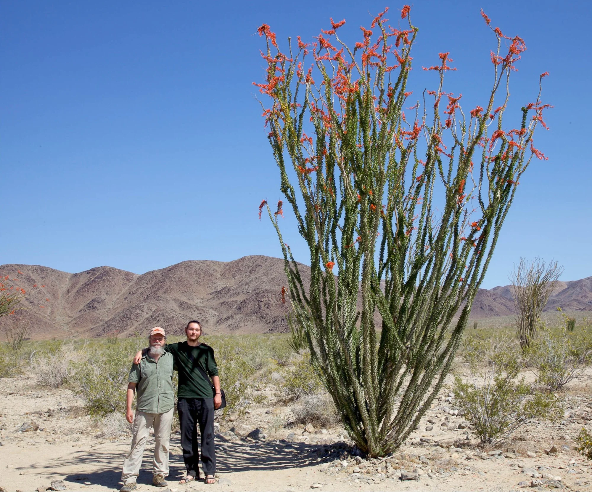 Har-Prakash and Gurudayal Khalsa next to Blooming Ocotillo, Joshua Tree, April 2017