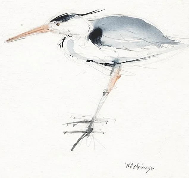 Heron