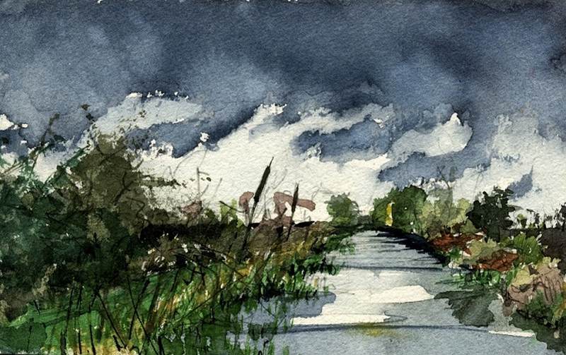 5 Bullrushes on the canal.jpg