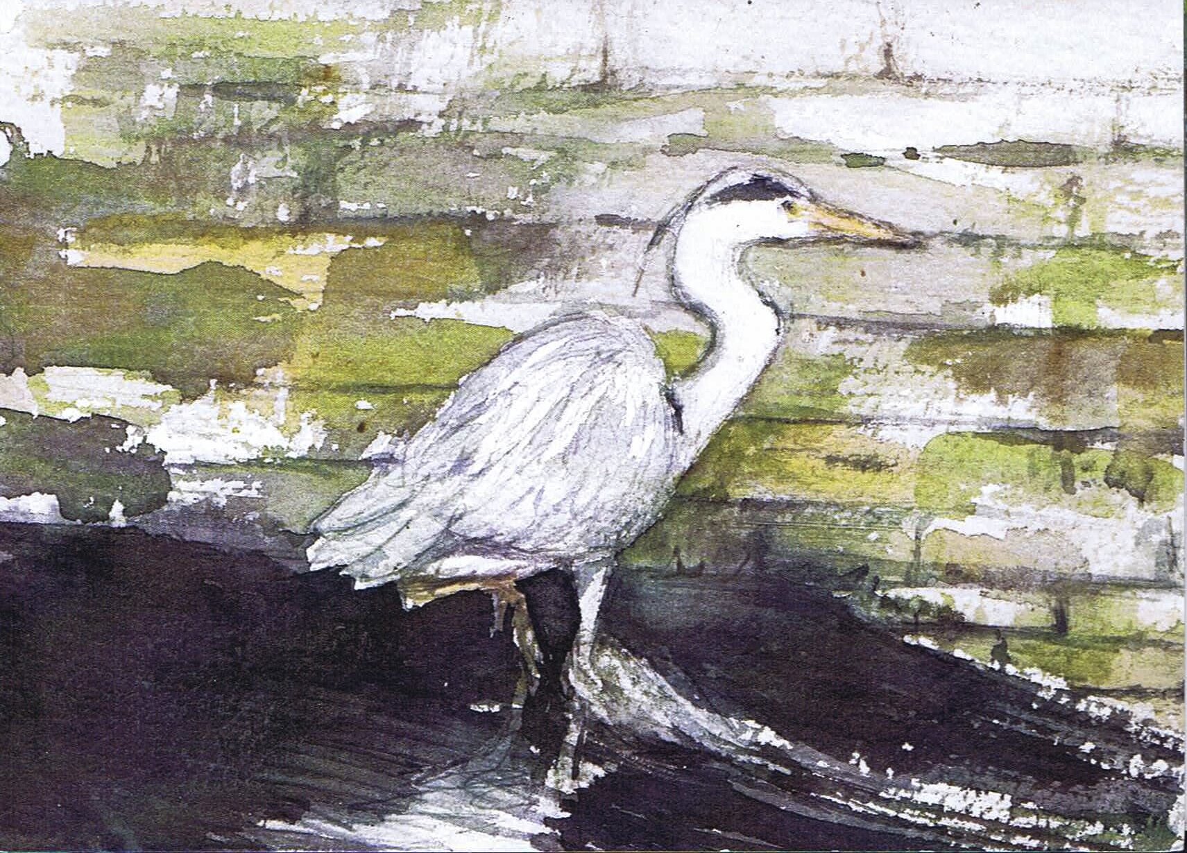 C12. Heron at Weir.jpg