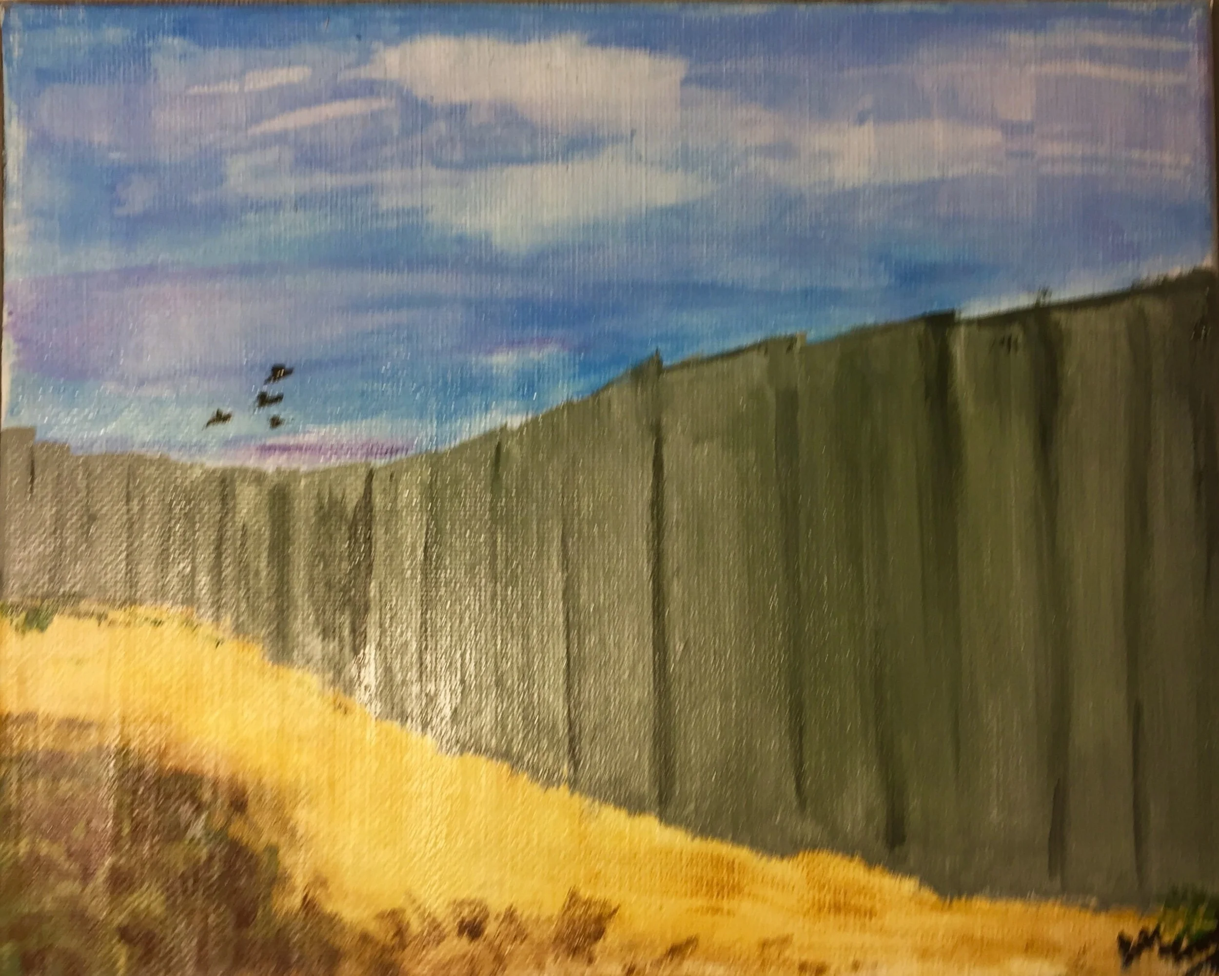 Birds are not bound by Borders/ Walls