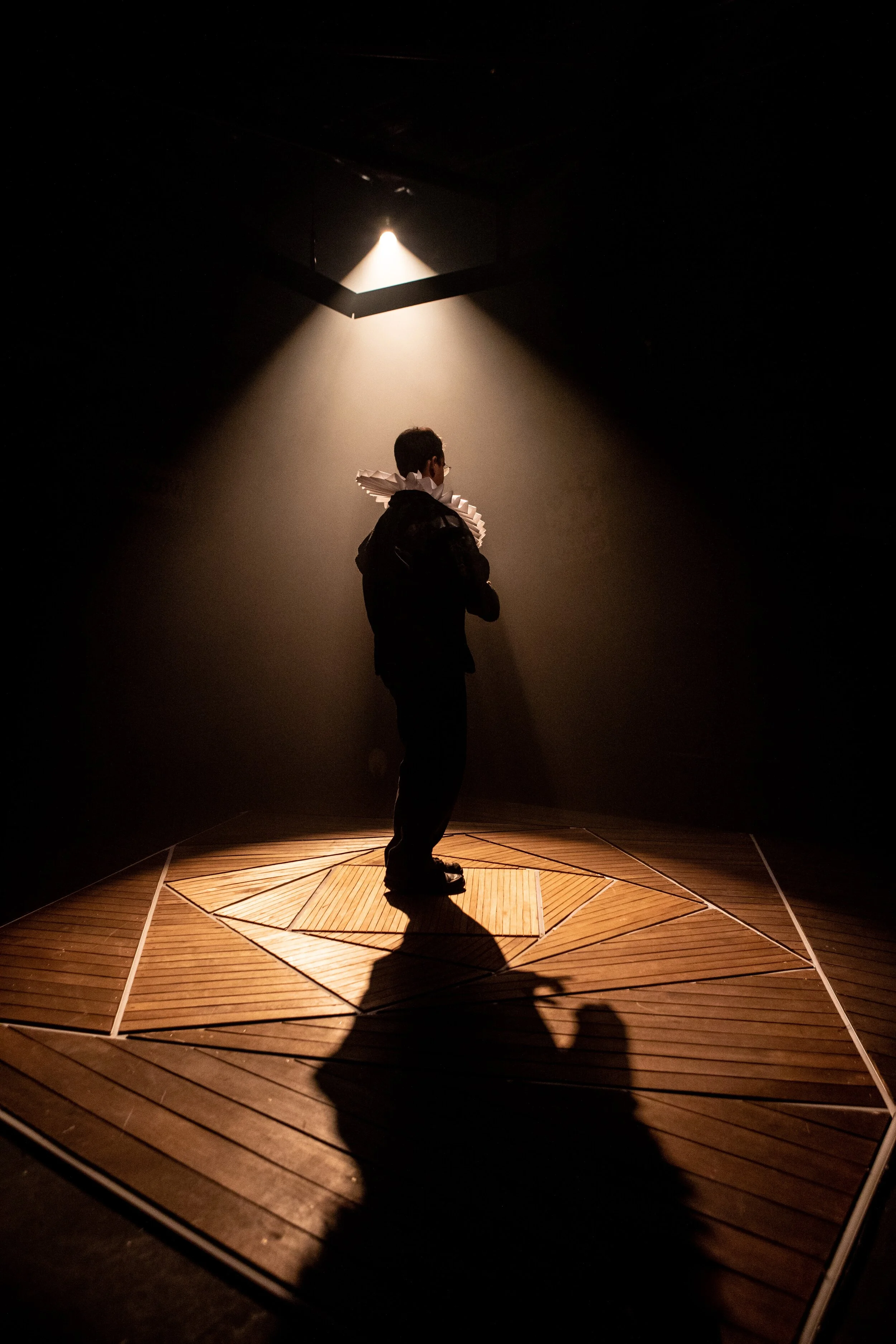 The Actor's Nightmare — ANNA DRIFTMIER